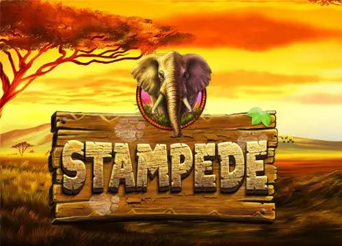 Stampede placeholder