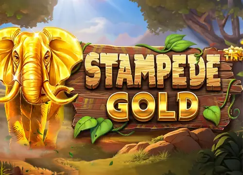 Stampede Gold - undefined