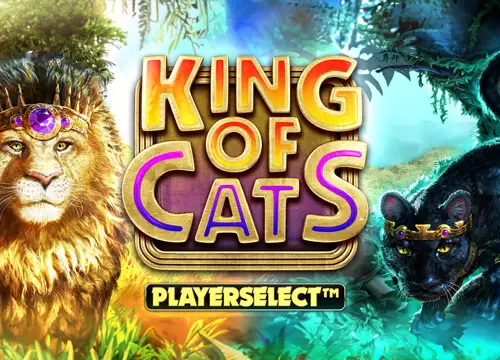 King Of Cats placeholder