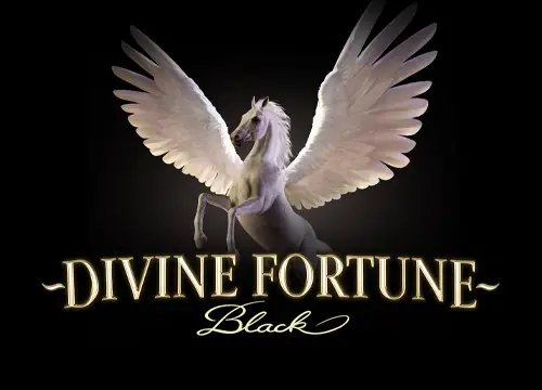 Divine Fortune Black - undefined