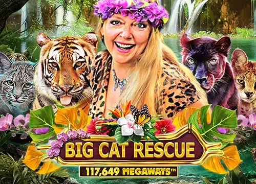 Big Cat Rescue Megaways placeholder
