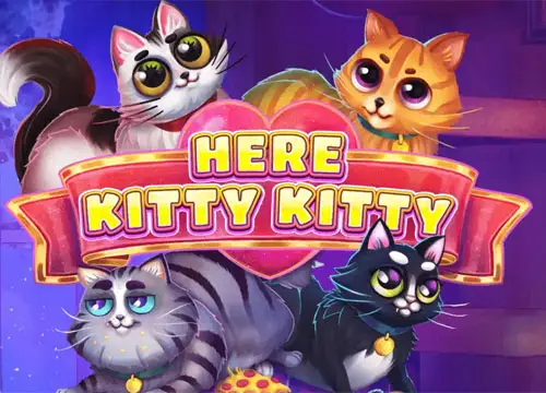 Here Kitty Kitty placeholder