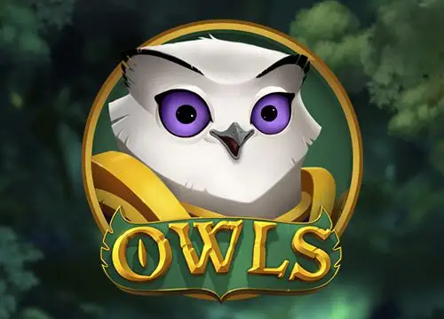 Owls placeholder