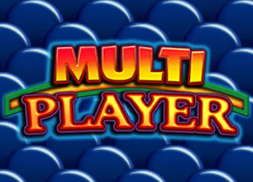 MultiPlayer