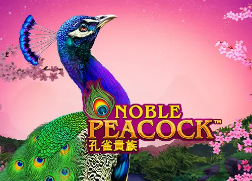 Power Prizes – Noble Peacock placeholder