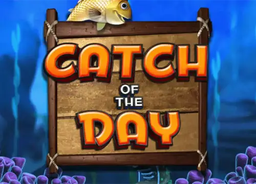 Catch of the Day placeholder