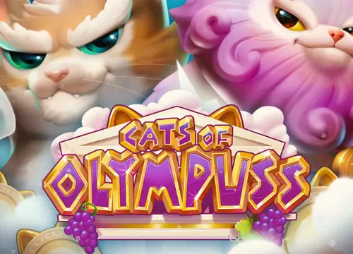 Cats of Olympuss