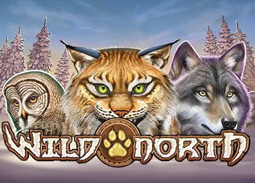 Wild North placeholder