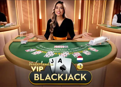 Nederlands VIP Blackjack 1 - undefined