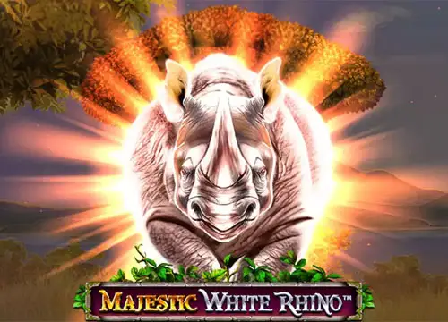 Majestic White Rhino - undefined