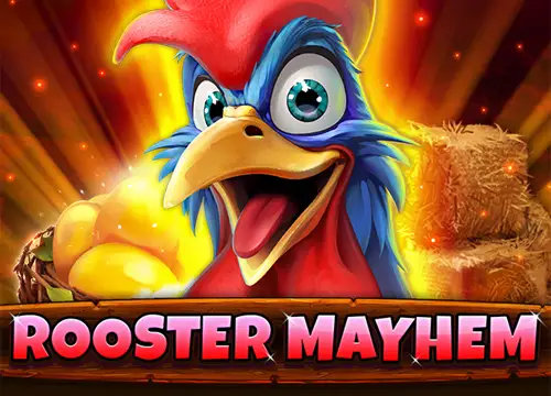Rooster Mayhem - undefined