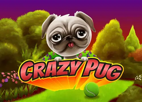 Crazy Pug placeholder